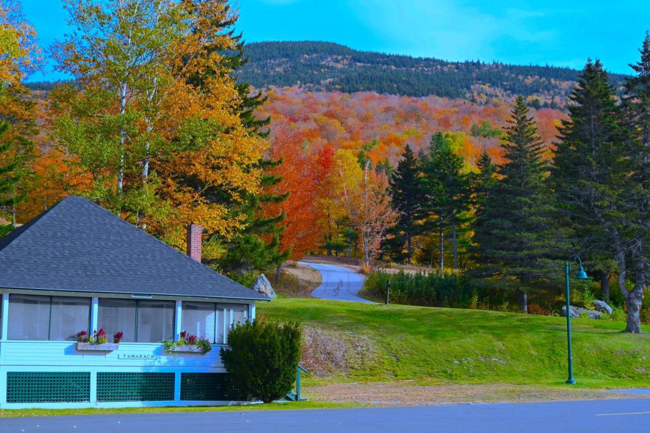 The Lodge At Jackson Village Dış mekan fotoğraf